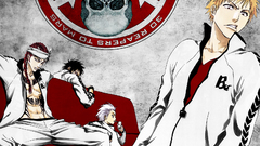 Bleach kurosaki ichigo hisagi