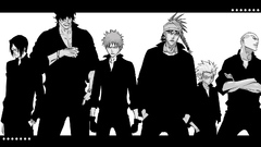 Bleach kurosaki ichigo Hitsugaya