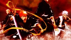 Bleach kurosaki ichigo Hitsugaya Toshiro Abarai Renji Ikkaku 