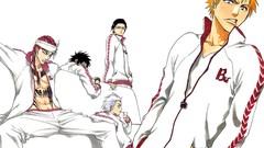 Bleach kurosaki ichigo Hitsugaya Toshiro Abarai Renji Ishida 