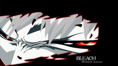 Bleach kurosaki ichigo Hollow
