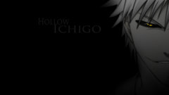 Bleach kurosaki ichigo Hollow
