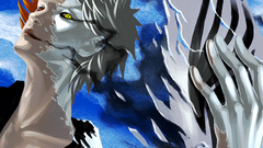 Bleach kurosaki ichigo Hollow