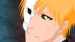 Bleach kurosaki ichigo hollow