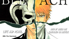 Bleach kurosaki ichigo hollow