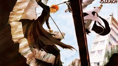 Bleach kurosaki ichigo ichimaru