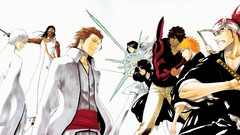 Bleach kurosaki ichigo ichimaru