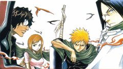 Bleach kurosaki ichigo inoue
