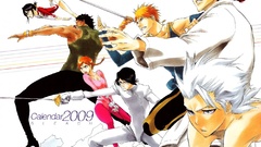 Bleach kurosaki ichigo inoue