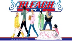 Bleach kurosaki ichigo inoue