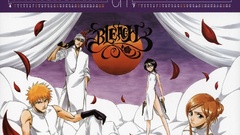 Bleach kurosaki ichigo inoue