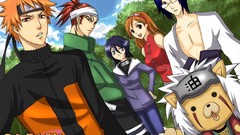 Bleach kurosaki ichigo inoue orihime kuchiki rukia naruto 