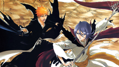 Bleach kurosaki ichigo kuchiki