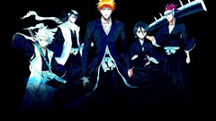 Bleach kurosaki ichigo Kuchiki