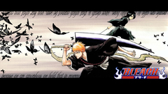 Bleach kurosaki ichigo kuchiki