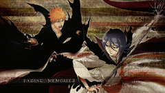 Bleach kurosaki ichigo kuchiki