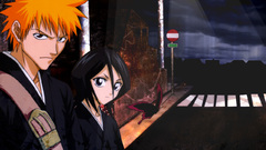 Bleach kurosaki ichigo kuchiki