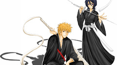 Bleach kurosaki ichigo kuchiki