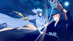 Bleach kurosaki ichigo kuchiki