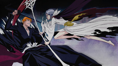 Bleach kurosaki ichigo kuchiki