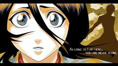 Bleach kurosaki ichigo kuchiki