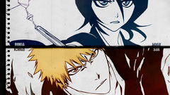 Bleach kurosaki ichigo kuchiki