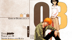 Bleach kurosaki ichigo kuchiki