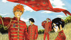 Bleach kurosaki ichigo kuchiki