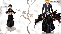 Bleach kurosaki ichigo kuchiki