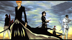 Bleach kurosaki ichigo kuchiki