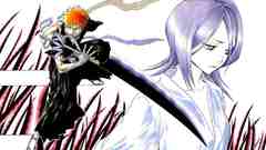 Bleach kurosaki ichigo kuchiki
