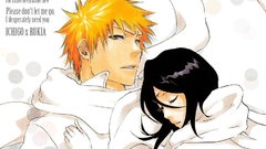 Bleach kurosaki ichigo kuchiki