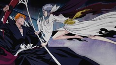 Bleach kurosaki ichigo kuchiki