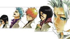 Bleach kurosaki ichigo kuchiki