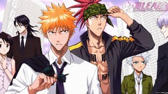 Bleach kurosaki ichigo Kuchiki