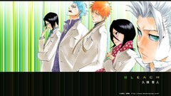 Bleach kurosaki ichigo kuchiki