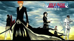 Bleach kurosaki ichigo kuchiki
