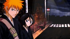 Bleach kurosaki ichigo kuchiki rukia