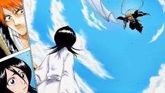Bleach kurosaki ichigo kuchiki rukia