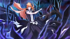 Bleach kurosaki ichigo long