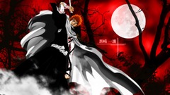 Bleach kurosaki ichigo moon