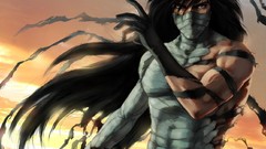 Bleach kurosaki ichigo mugetsu Final Getsuga Tenshou