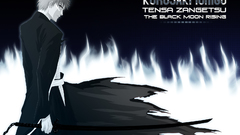 Bleach kurosaki ichigo Shinigami