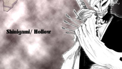 Bleach kurosaki ichigo Shinigami