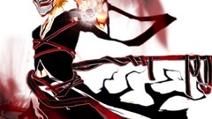 Bleach kurosaki ichigo Shinigami