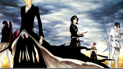 Bleach kurosaki ichigo Shinigami