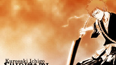 Bleach kurosaki ichigo Shinigami