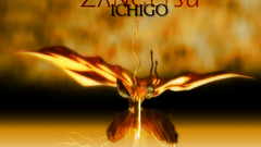 Bleach kurosaki ichigo Shinigami