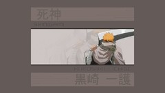 Bleach kurosaki ichigo Shinigami