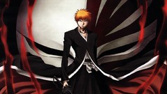 Bleach kurosaki ichigo Shinigami hollow mask